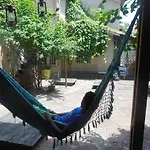 3Dogs Hostel
