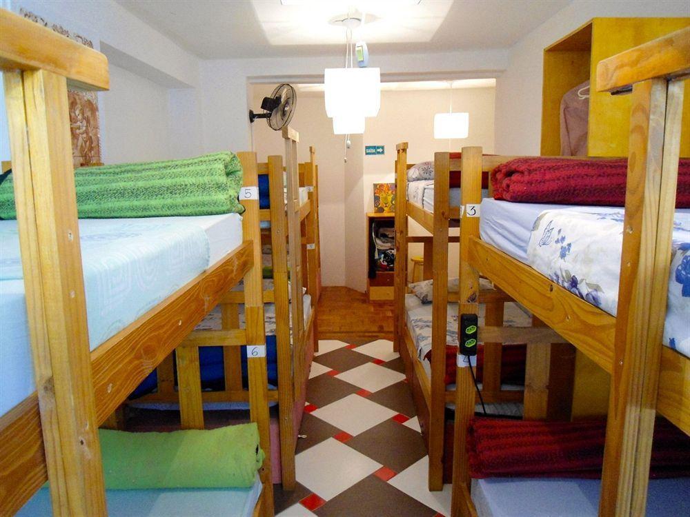 3dogs Albergue São Paulo