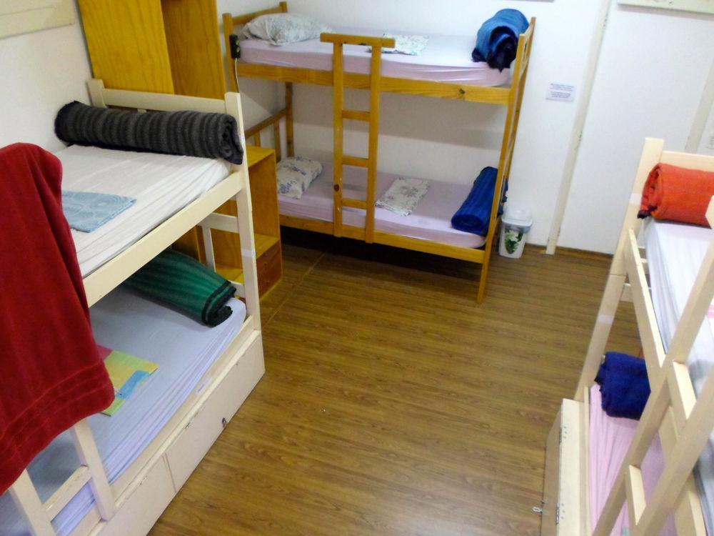 Albergue 3dogs