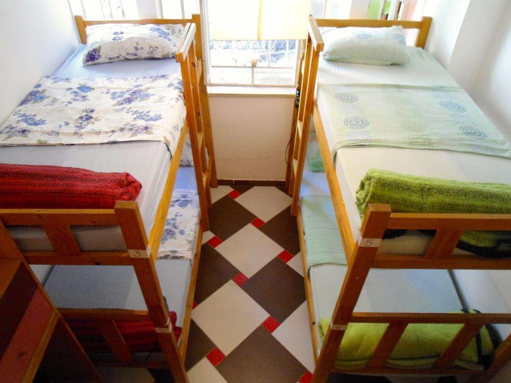 Albergue 3dogs