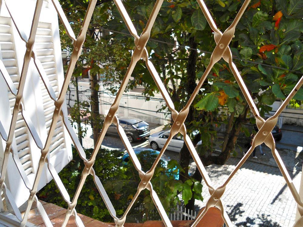 3dogs São Paulo