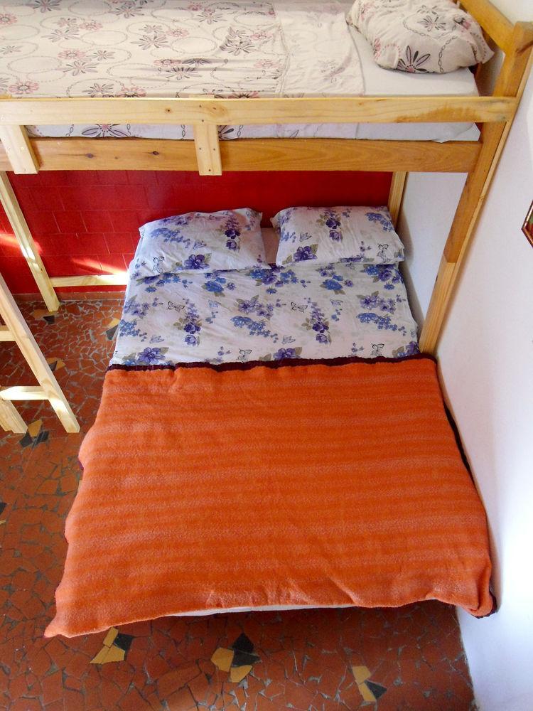 Albergue 3dogs *
