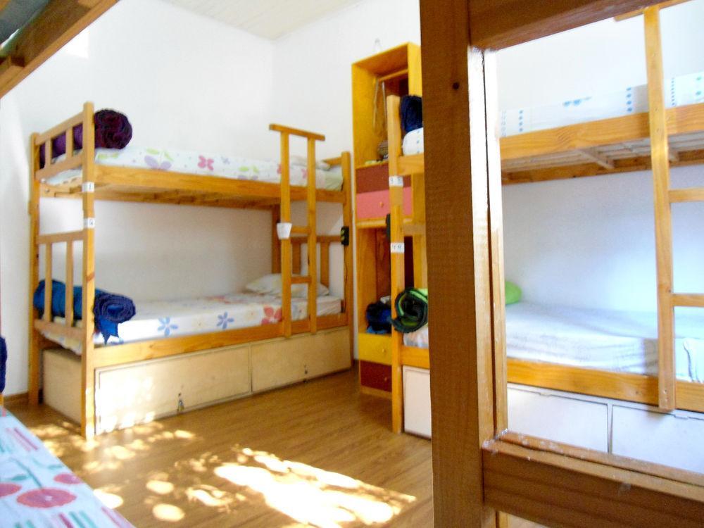 Albergue 3dogs São Paulo