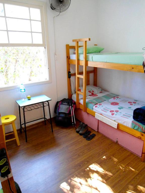 Albergue 3dogs